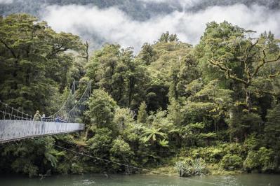 Flats Fables Hollyford Track